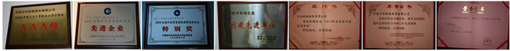 心系社会，切实履行企业公民责任。